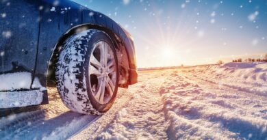 Expertos entregan consejos para manejar con seguridad cuando cae nieve